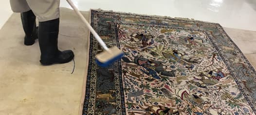Modern Rug Cleaning Service